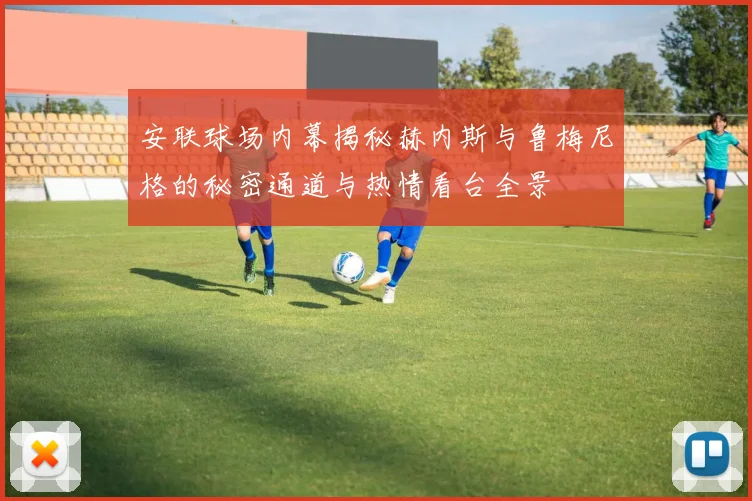安联球场内幕揭秘赫内斯与鲁梅尼格的秘密通道与热情看台全景