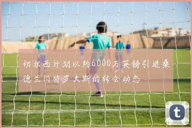 切尔西计划以约6000万英镑引进桑德兰门将罗夫斯的转会动态