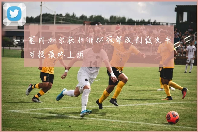 塞内加尔获非洲杯冠军改判裁决书可提最终上诉